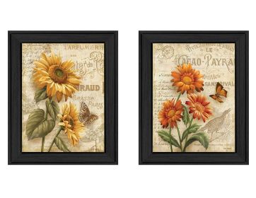 "Flowers Collection" 2-Piece Vignette By Ed Wargo; Printed Wall Art; Ready To Hang Framed Poster; Black Frame