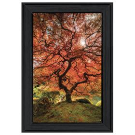 "First Colors of Fall II" by Moises Levy; Ready to Hang Framed Print; Black Frame